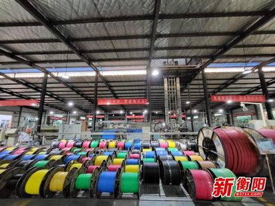 衡陽輸變電產業強勢崛起 產業規模國內前列，產品創多項世界第一